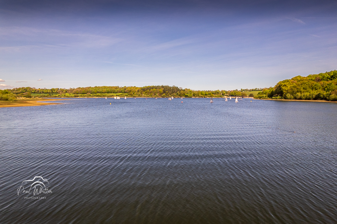 Ogston Reservoir April 2025 (18)